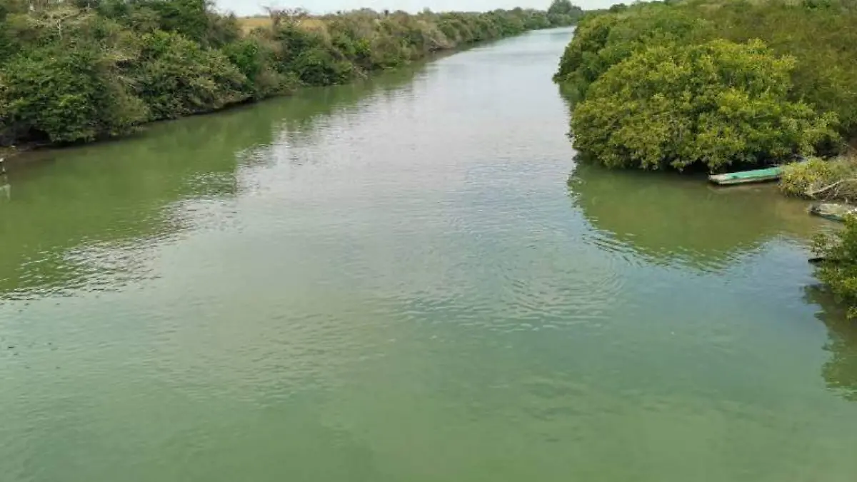 Cocodrilos de Tampico migran al norte de Veracruz, temen lleguen a playa Hermosa